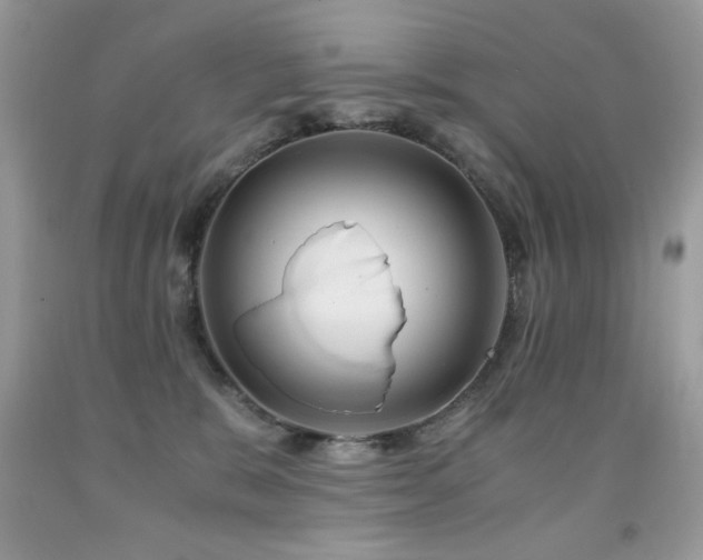 X0000091920327200709051446