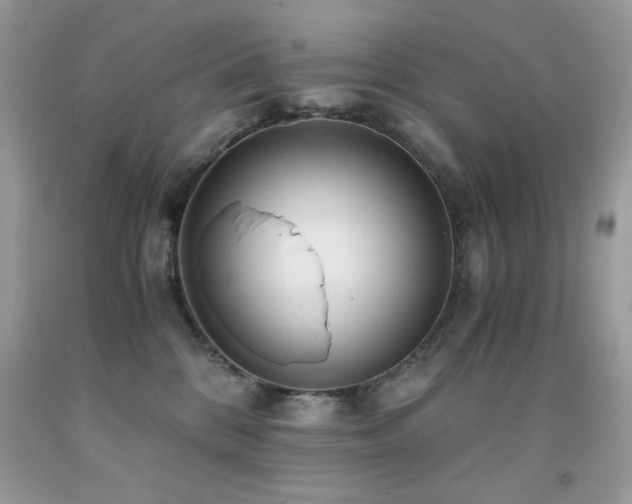 X0000091920328200709051446