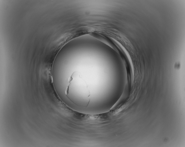 X0000091920329200709051446