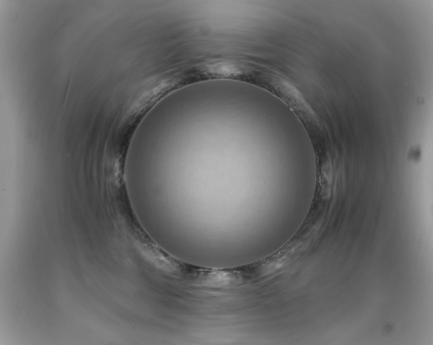 X0000091920330200709051446