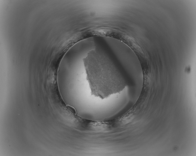 X0000091920331200709051446