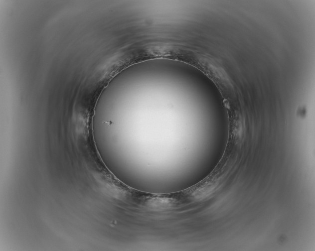 X0000091920332200709051446
