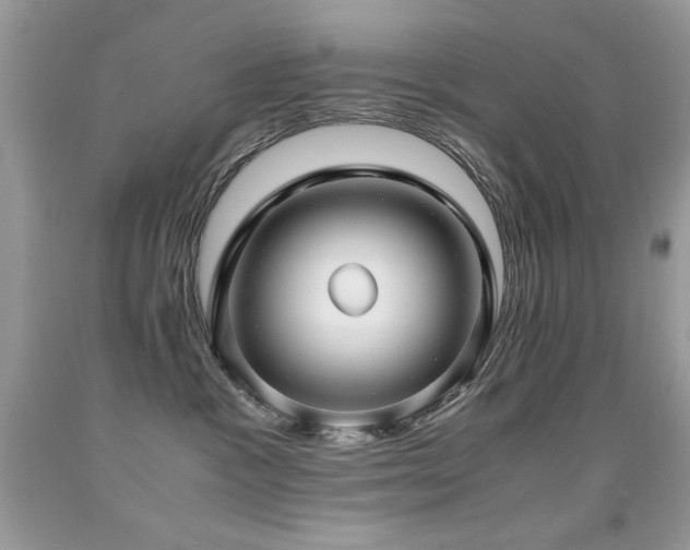 X0000091920333200709051446
