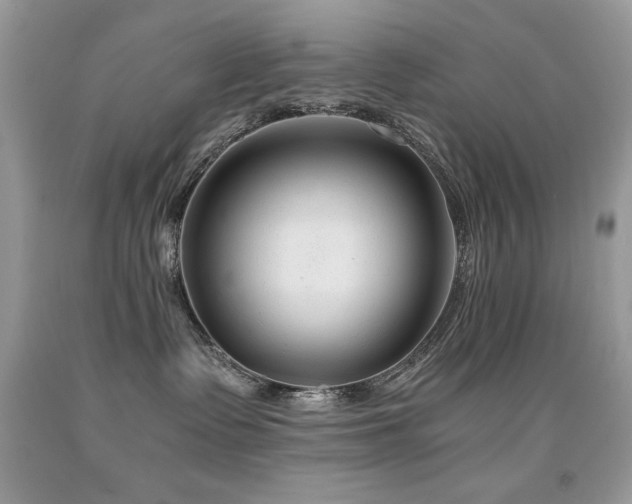 X0000091920335200709051446