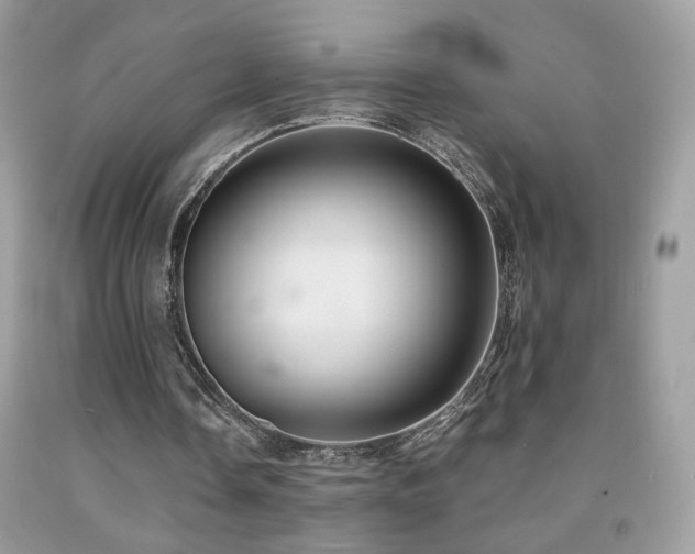 X0000091920338200709051445
