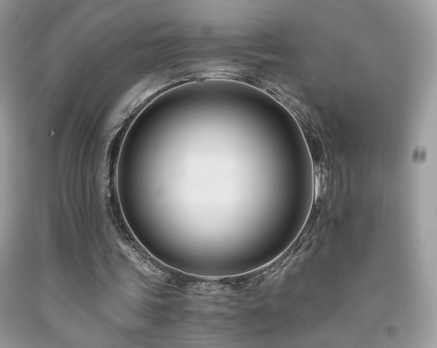 X0000091920339200709051445