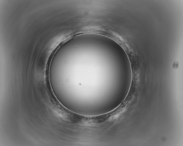 X0000091920340200709051445