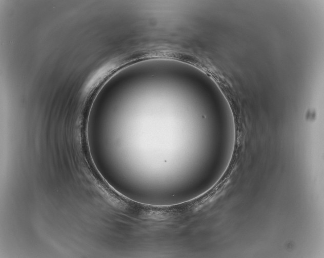 X0000091920341200709051445