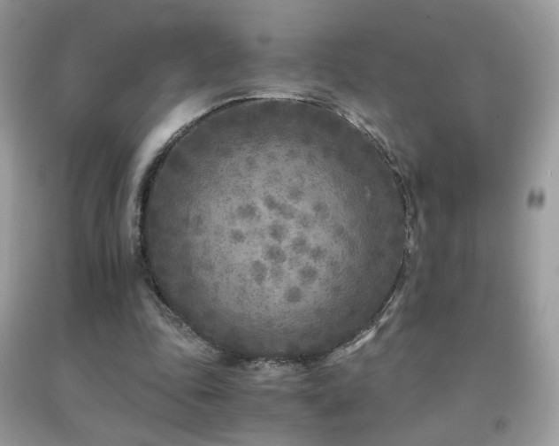 X0000091920343200709051445