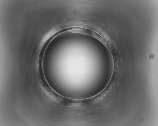 X0000091920344200709051445
