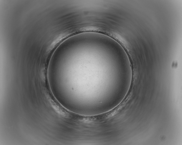 X0000091920345200709051445