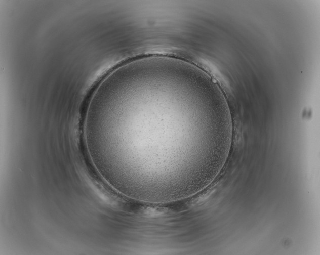 X0000091920346200709051445