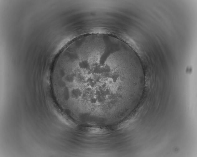 X0000091920347200709051445