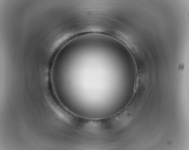 X0000091920350200709051445