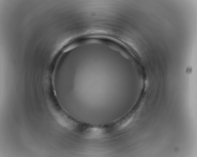 X0000091920352200709051445