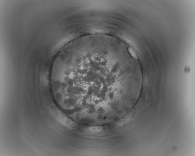 X0000091920353200709051445