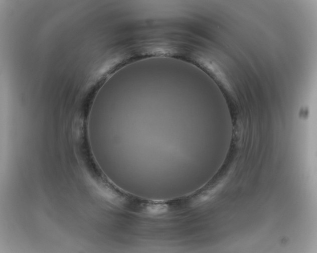 X0000091920355200709051445