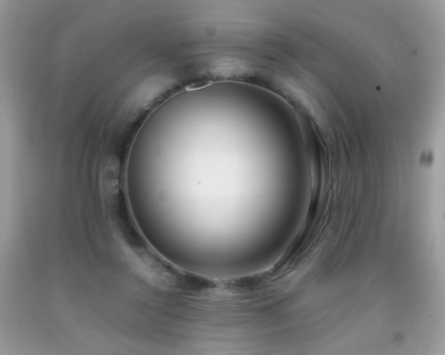 X0000091920356200709051445