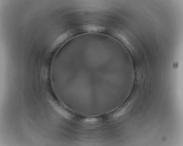 X0000091920357200709051445