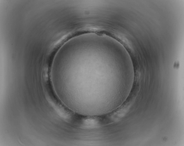 X0000091920358200709051445