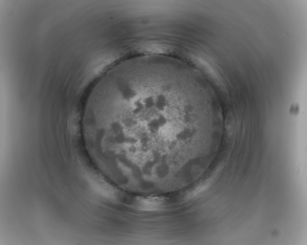 X0000091920359200709051445
