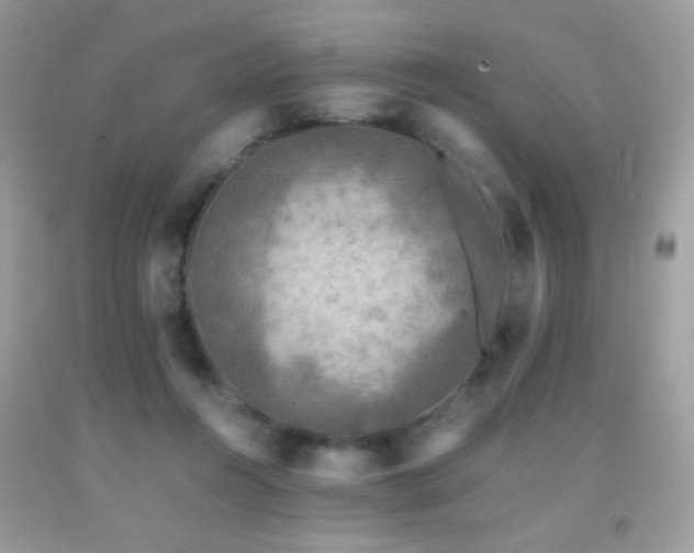 X0000091920360200709051445