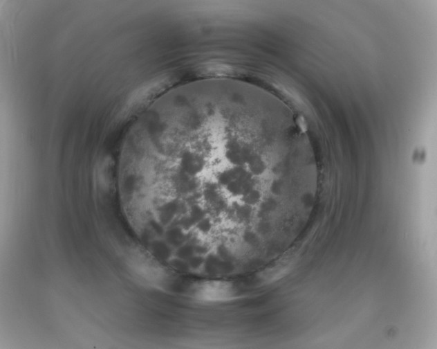 X0000091920361200709051445