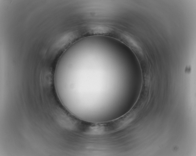 X0000091920362200709051445