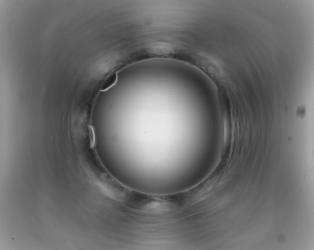 X0000091920364200709051445