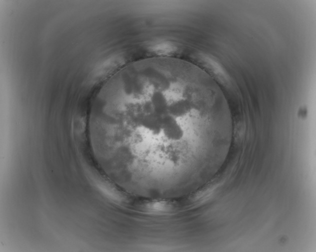 X0000091920365200709051445