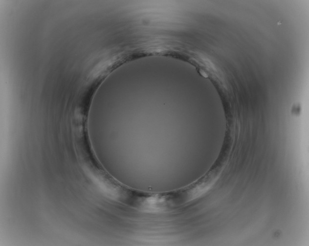 X0000091920366200709051445
