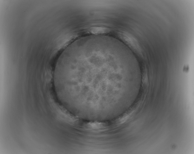 X0000091920367200709051445