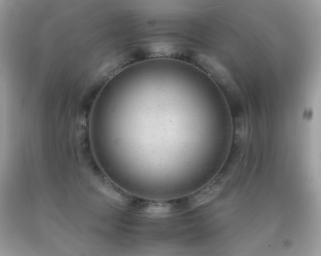 X0000091920369200709051445