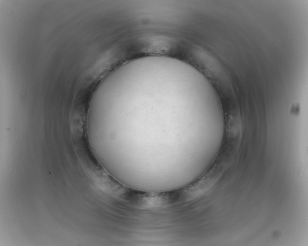 X0000091920370200709051445