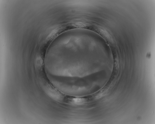 X0000091920371200709051445