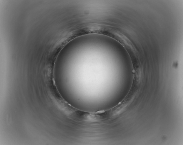 X0000091920372200709051445