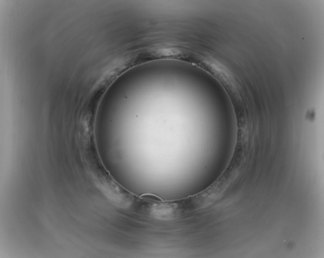 X0000091920373200709051445