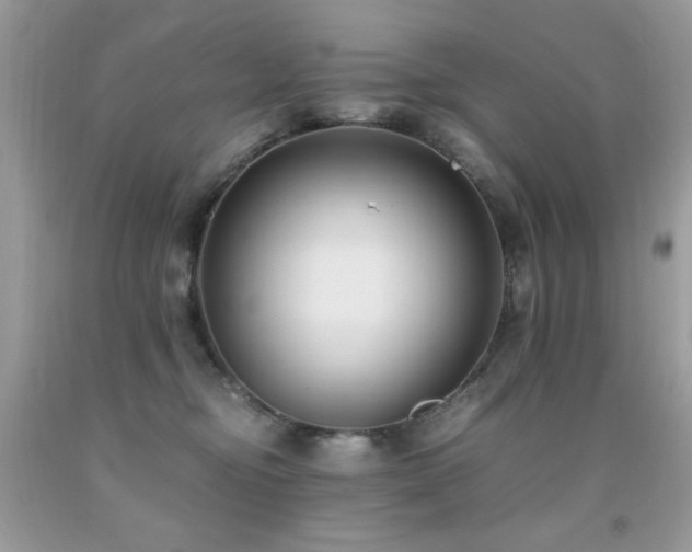 X0000091920374200709051445