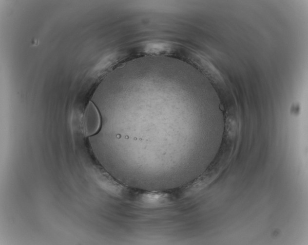 X0000091920375200709051445