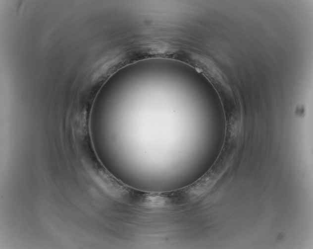 X0000091920376200709051445