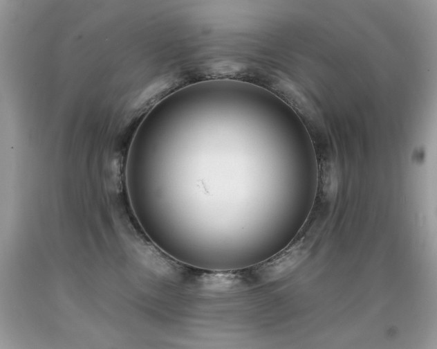 X0000091920378200709051446