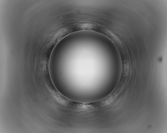X0000091920379200709051446