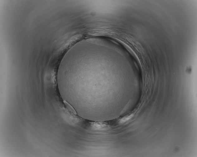 X0000091920380200709051446