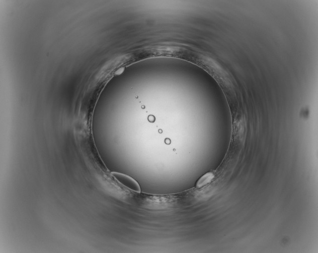 X0000091920381200709051446