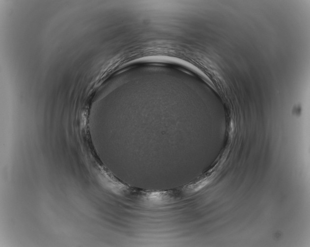X0000091920382200709051446