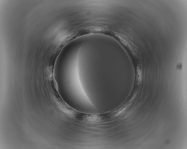 X0000091920383200709051446