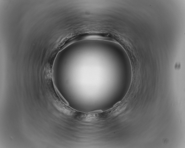 X0000091920384200709051446