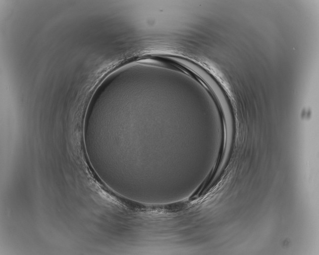 X0000091920385200709051445