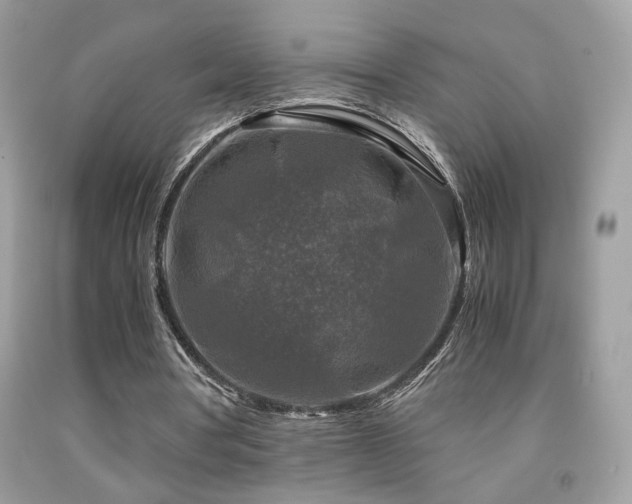 X0000091920386200709051445