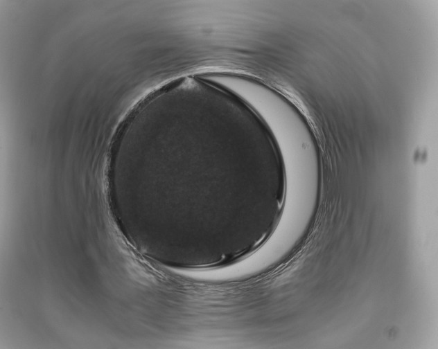 X0000091920387200709051445
